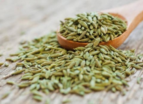 تصویر 1 از خرید و قیمت زیره سبز صادراتی + فروش صادراتی